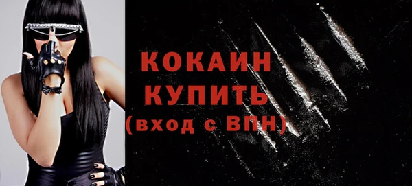 прущие грибы Строитель