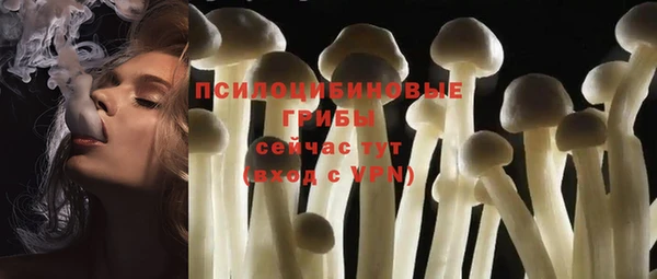 гашик Алзамай