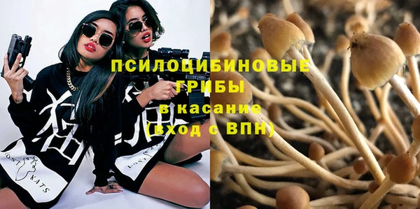 кокс Алексеевка