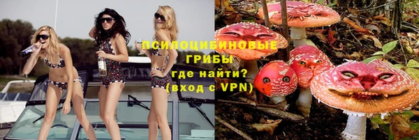 гашик Алзамай