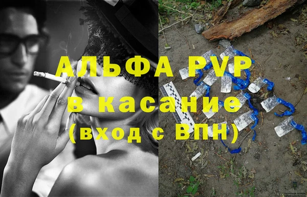 гашик Алзамай